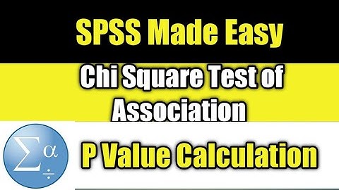 Chi Square Test in SPSS of Association Between Two Categorical Variables