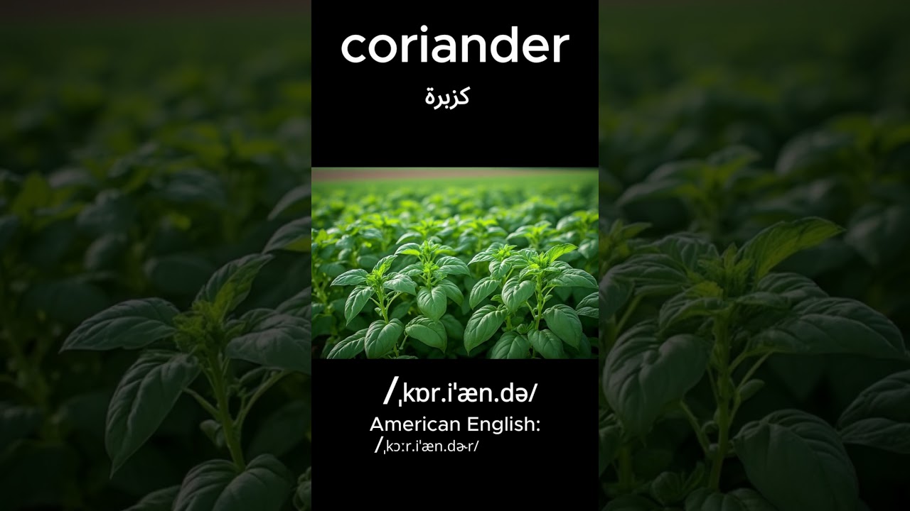 🌿 Can You Say These Herbs? 🤔 Funny Herb Names for Kids!