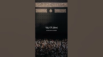 قران كريم راحه نفسيه #اهميه #اكسبلور #بيولوجي #لايك #القزابري #دويتو #الاجسام #ترند #العلم #قمر
