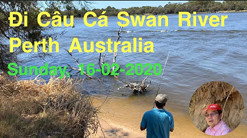 Chủ Nhật Đi Câu Cá Swan River Perth Australia