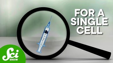 A Needle So Tiny It Injects Into A Single Cell