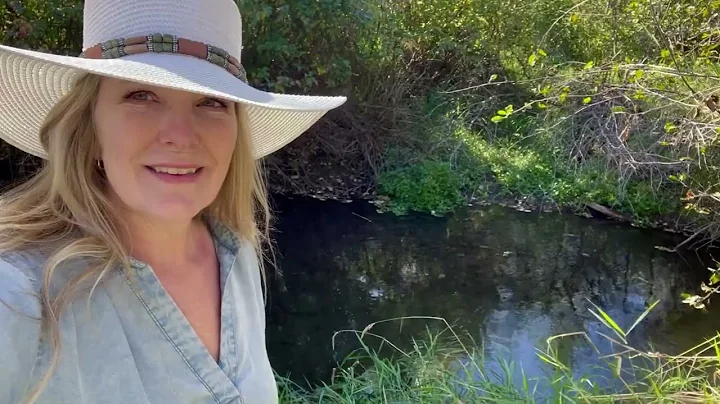 Creekside Paradise Property for Sale, 20 Acres, 3 Bedroom House, Shop/Garage, Creek, Mountain View