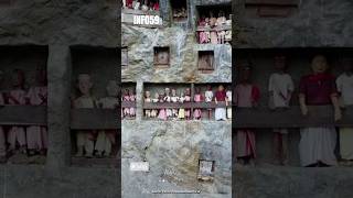 Kuburan Paling Unik di Indonesia Ada di Tebing #shorts #batulemo #toraja #faktaunik