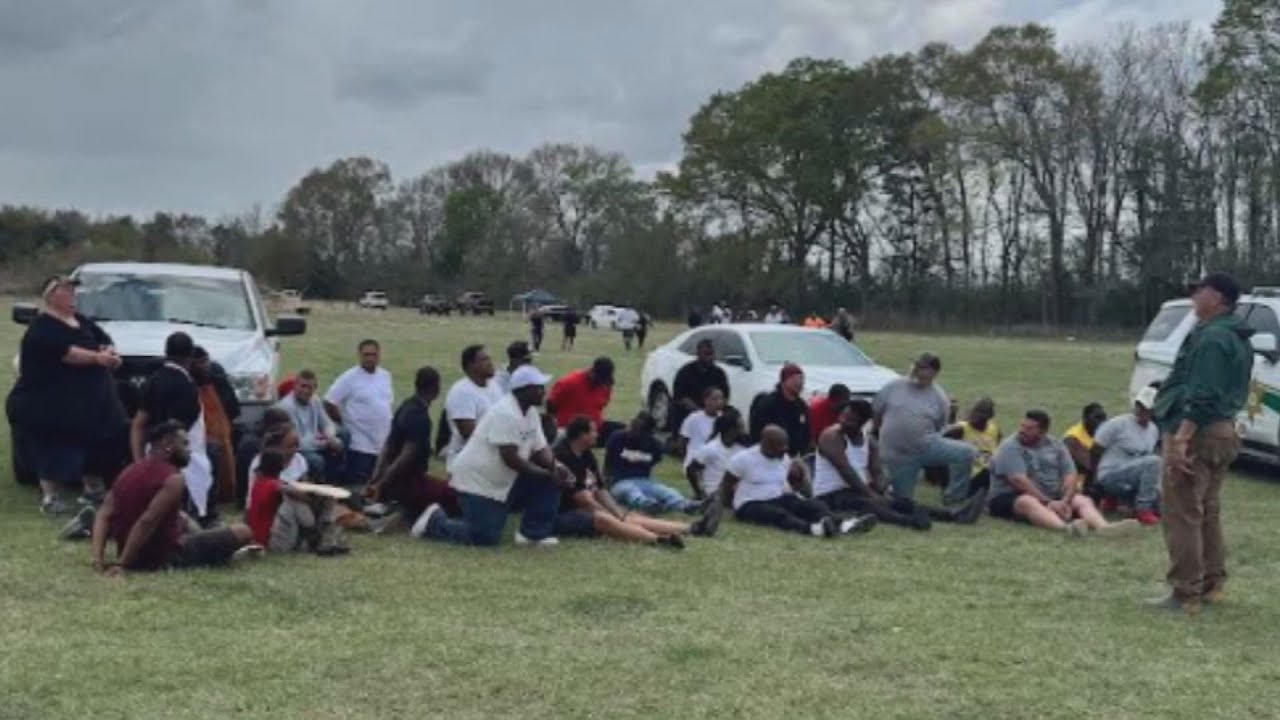 В округе Сент-Лэндри раскрыта подпольная организация по организации петушиных боев; арестован 1 ч...