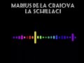 Marius de la Craiova la Schillaci - Floarea mea de liliac