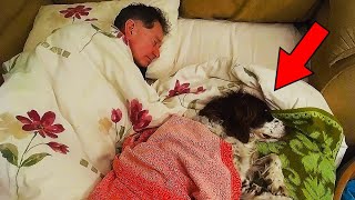 Adam, Hergece Köpeğiyle Birlikte Uyuyordu, Sonra Öyle Bir Şey Oldu Ki İnanılmaz..