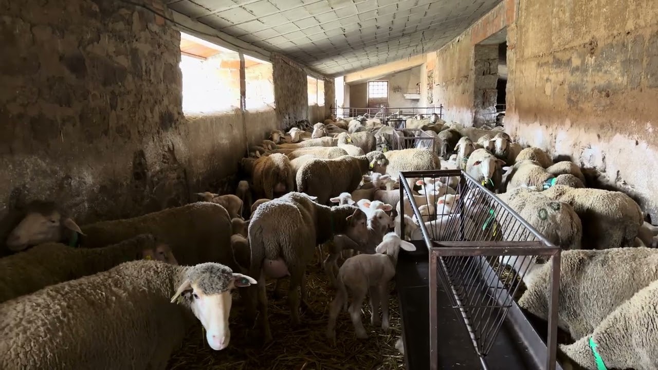 Mellizos en la nave hasta que pase el agua 💦 