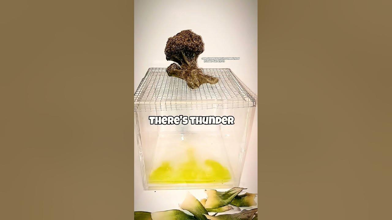 When there's rain there's thunder.
