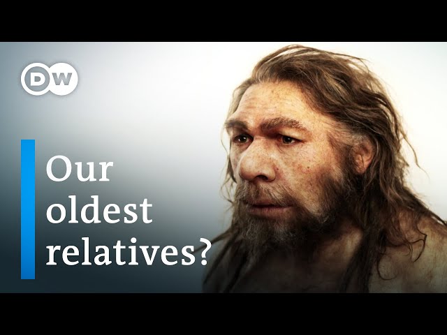 The Neanderthals: Tracking our Ancestors