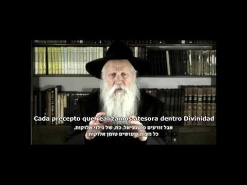 ISRAEL: LA PRIMERA COSECHA ISRAEL: LA PRIMERA COSECHA
