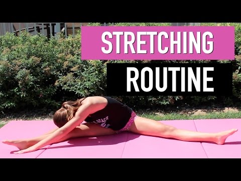 Maggie's Stretching Routine