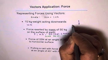 Represent Force as Vector Diagram
