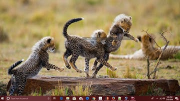 CORS misconfiguration Innoplexus com main domain || CORS Exploiting || CORS POC