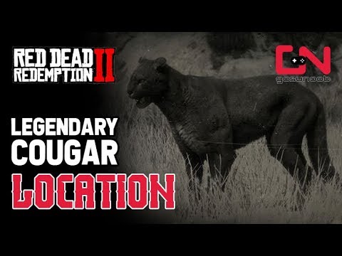 puma rdr2 location