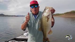 Roland Martin fishes the Cowboy on Lake Baccarac 