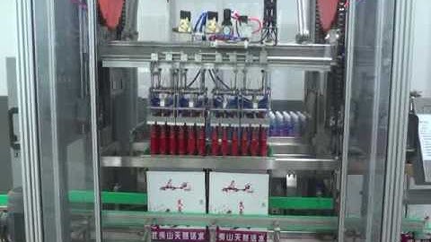 Automatic bottle water case packer