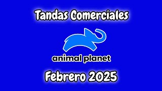 Tanda Comercial Animal Planet Latam Febrero 2025 Mr. Koala 4.0