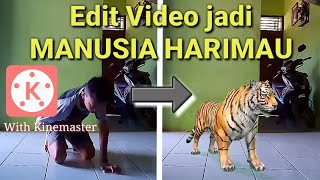 How to Edit Video Changes to TIGER with Kinemaster|TUTORIAL EDITING|-GILANG7511