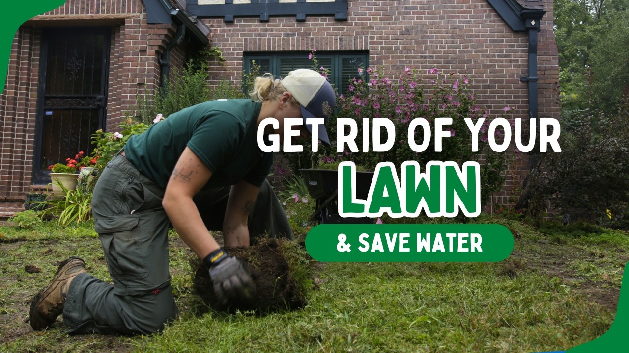 How to Remove Your Lawn & Start a Waterwise Landscape