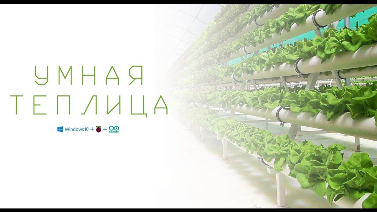 Проект моя умная теплица физика 8 класс