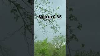 Skip to 0:35 heavy rain dark clouds #storm #rain #lightning #heavyrain #flood #stormchasing