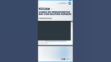 🎓 Aprende a usar Delphin Express desde cero