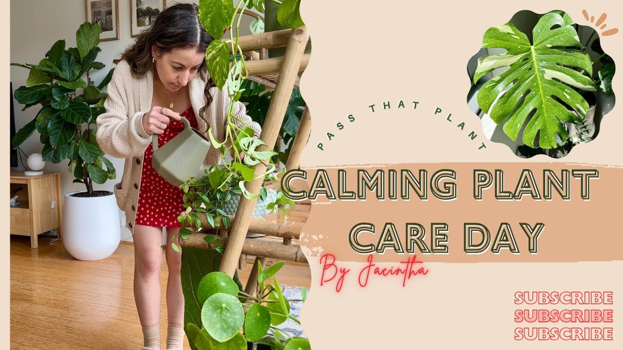 Houseplant Care Day Routine - Relaxing Day of Indoor Plant Maintenance ...