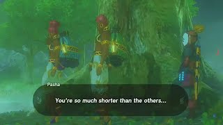 Link is tired of being short.