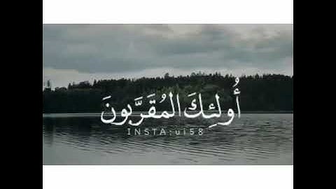 اعذب صوت شيخ عمير شميم - سورة الواقعة 😴💜.