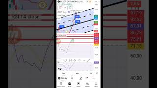 peker gayrimenkul en güvenilir analiz #borsaistanbul #borsa #halkaarz