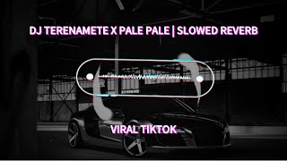 DJ TERENAMETE X PALE PALE | SLOWED REVERB VIRAL TIKTOK