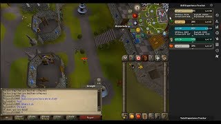 Wilderness bug osrs [kept all black chinchompas on death]
