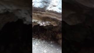 Terkedi̇lmi̇ş Lanetli̇ Mağaraya Gi̇rdi̇k Di̇ss To Nova Prospekt