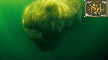 "وذا النون إذ ذهب مغاضبا فظن أن لن نقدر عليه" تلاوة رائعة !! للشيخ عبد الله الموسى فيديو معبر!!