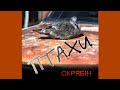 СКРЯБІН Птахи Повний альбом 1995 ремастеринг СКРЯБІН Птахи Повний альбом 1995 ремастеринг