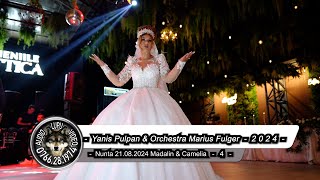 Download Lagu Nunta Madalin \u0026 Camelia - 4 - Yanis Pulpan \u0026 Orchestra Marius Fulger - Dansul mirilor MP3