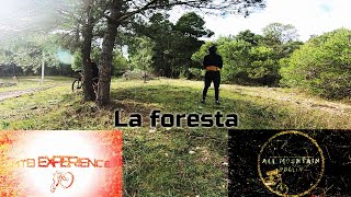 MTB MERCADANTE LA FORESTA All Mountain - Mtb Experiece