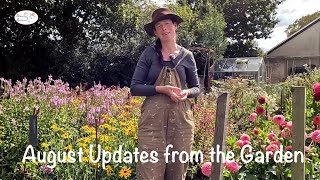 August in the Garden, Perennials, and Plans// Stems by Suzanne