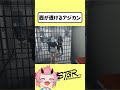【#ストグラ】西が透けてしまうアジカン【とろろろろ/鬼ヶ島ぴぃち】