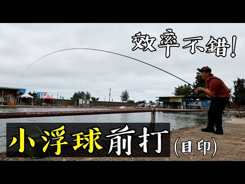 用小浮球前打！提升海釣場中魚效率！馬祖釣魚前先來偷練！【2023馬祖 行前訓練】#釣魚 #前打 #新竹 目印前打/落入