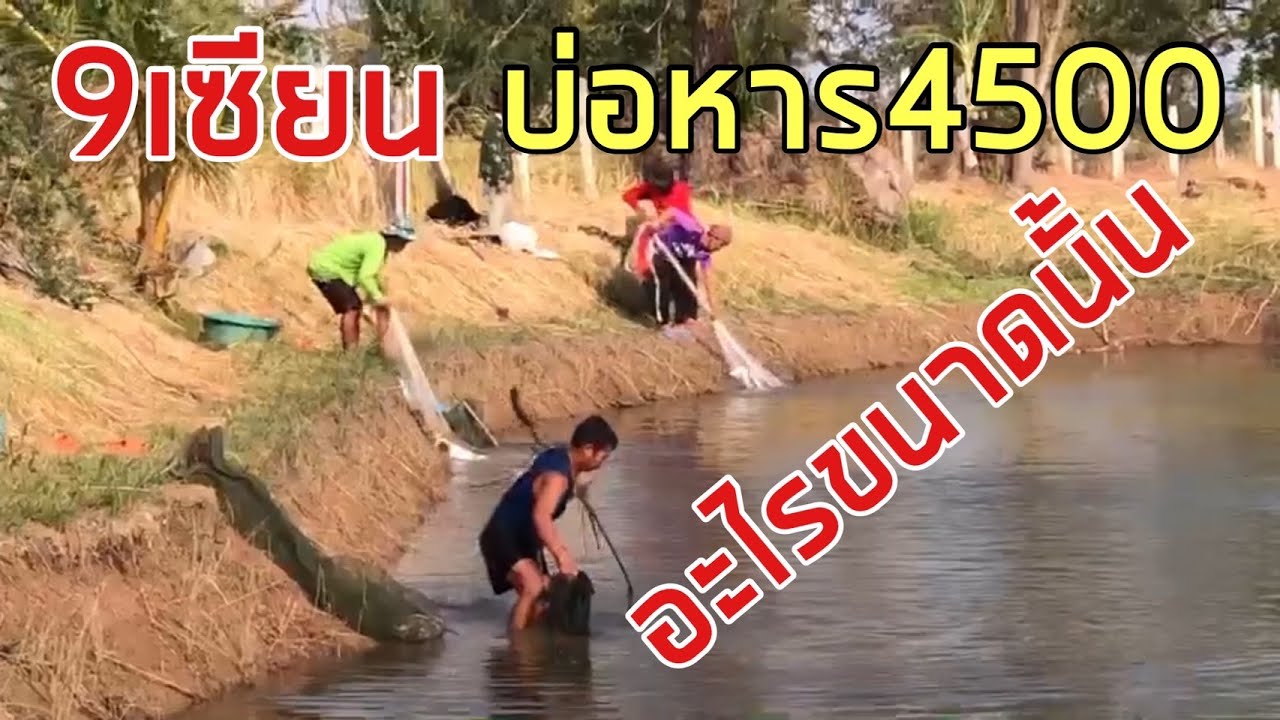 3 กรกฏาคม 2568 #9เซีบน เหมาบ่อ4500# อะไรขนาดนั้น - YouTube