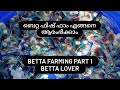 betta fish  farming part 1 . How to start Bettas fish farm . betta Lover