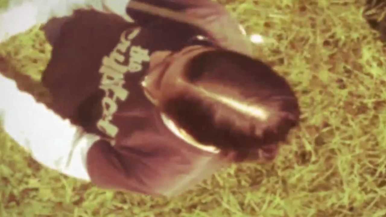 told -- Gardens (Music Video) akkoorden