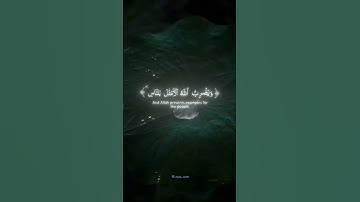 نور على نور يهدي الله لنوره من يشاء أجمل تلاوة تسمعها شريف مصطفى صوت خيالي