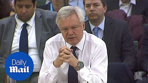 David Davis says they know magnitude of impact Brexit will have - Daily Mail