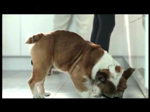 宜家傢俬 樂‧在其中 廣告 (2011)