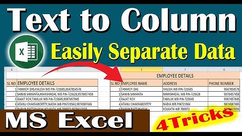Convert Text to Column | Separate Data | সেল এর ডেটা কে আলাদা আলাদা কলামে ভাগ করার পদ্ধতি | #Viral 🚀