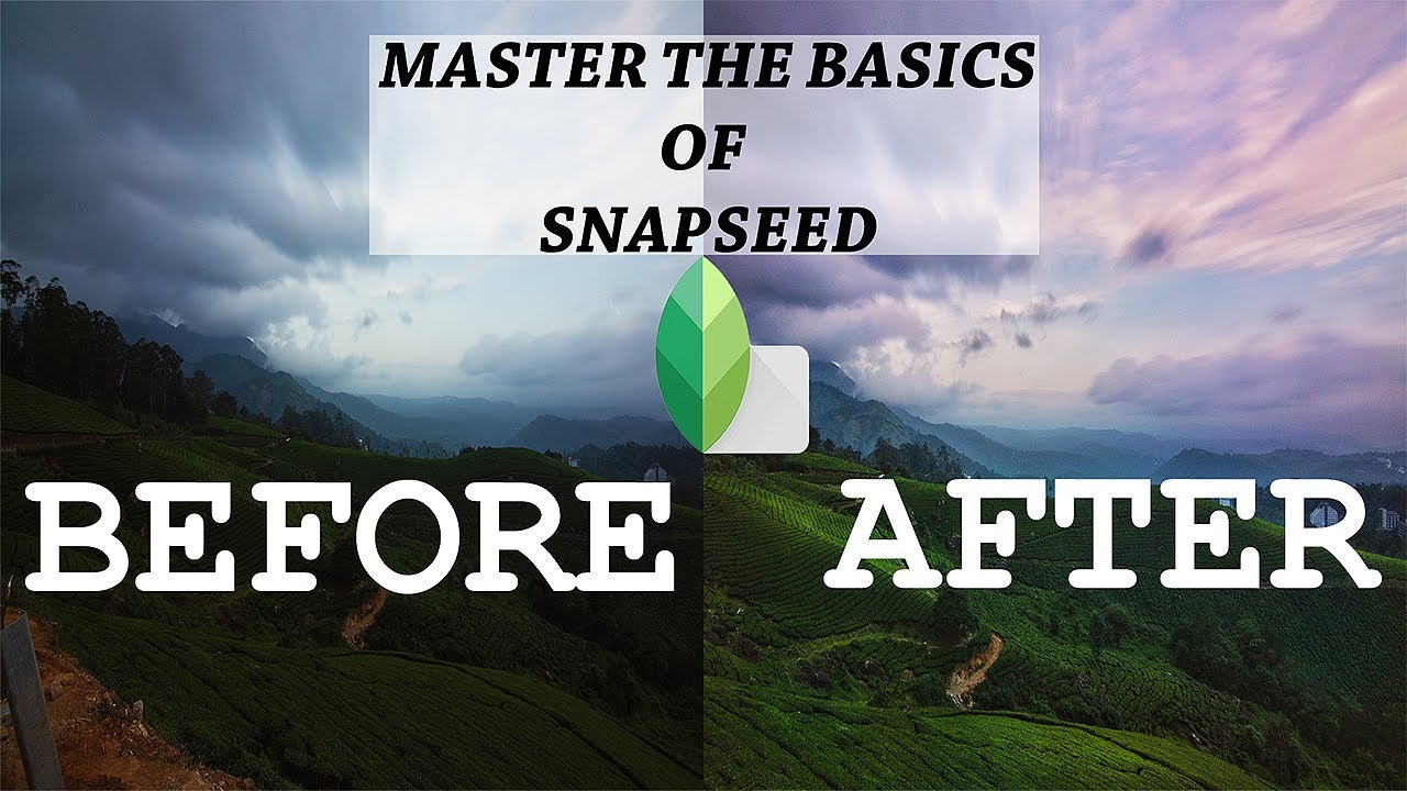 Master The Basics of Snapseed | Basics of Snapseed Editing 2020
