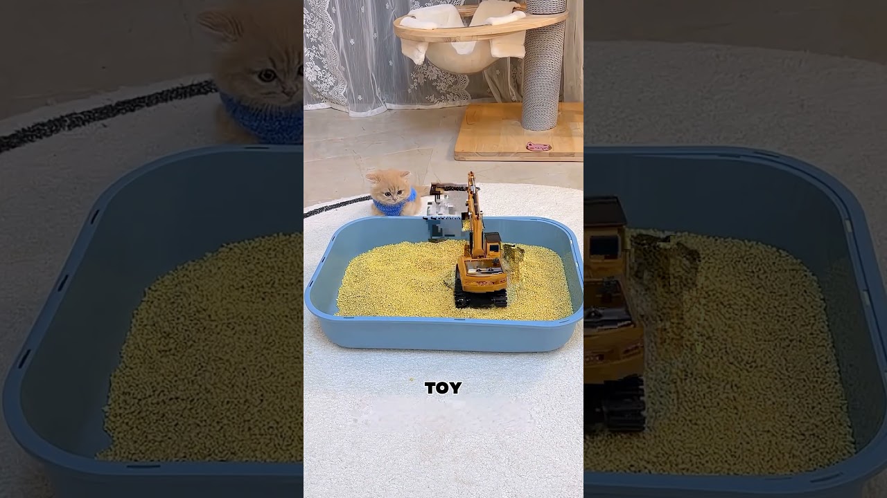 Этот трюк наконец-то сработал.