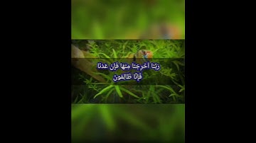 سورة المؤمنون الآية 107#قران_كريم #لايك_متابعه_اكسبلور #Tiktoklongs #Foryoupage #Viral